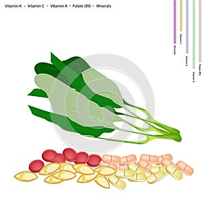 Fresh Chinese Broccoli with Vitamin K, C, A and B9