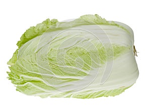 Fresh chinese cabbage