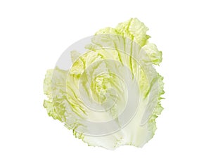 Fresh chinese cabbage leaf isolated on white background ,Green leaves pattern