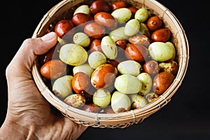 Fresh Chinese date fruits-Ziziphus jujuba fruits on the dark background