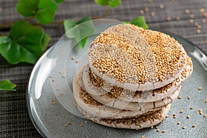 Chinese traditional style sesame pancake