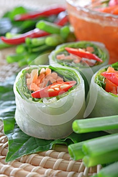 Fresh Chinese Traditional Spring rolls food