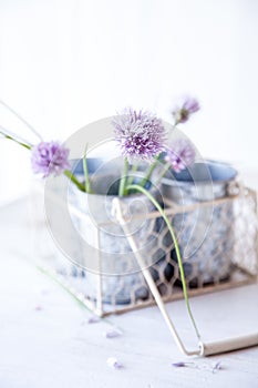Fresh chive blossoms in a vase