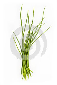 Fresh chives bunch