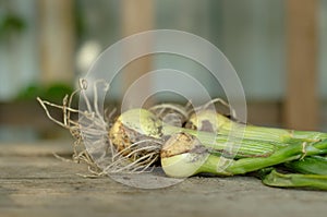 Fresh chives on a wooden table