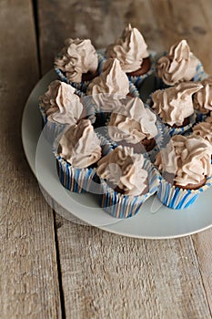 Fresh chocolate cupcakes