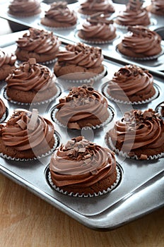 Fresh chocolate cupcakes with chocolate frosting