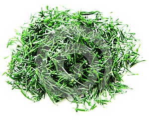 Fresh chopped dills on white