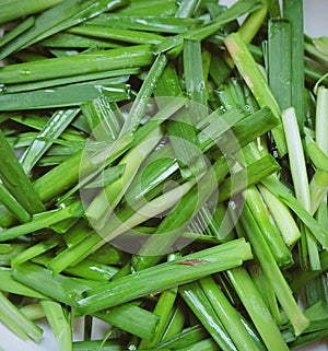 Fresh Chopped Garlic Chives with Vitamin K, C, A, B9