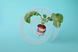 Fresh chopped radish on blue background, close up