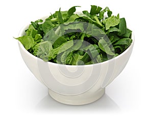 Fresh chopped spinach in white bowl isolated