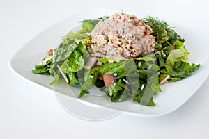 Fresh chopped tuna salad