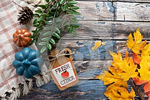 Fresh Cider fall autumn arragement flatlay on a blue wood background, with colorful pumpkins, maple leaves and plaid towel