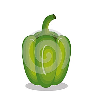 Fresh cidra vegetable icon photo