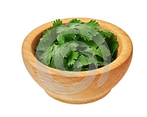 Fresh cilantro a wooden bowl isolated on a white background