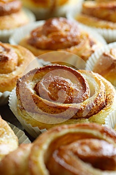 Fresh Cinnamon Buns