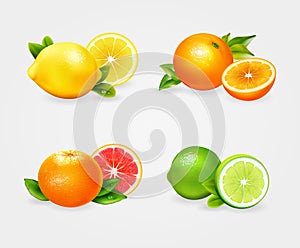 Fresh citric fruit vector set