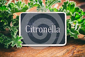 Fresh citronella leaves on wooden background photo