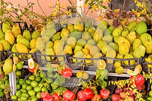Fresh citrons in sicily photo