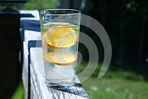 Herbal Lemon Drink, Orange, Citrus, Mint. Healthy Garden Natural Beverage. Herbalism, Wellness, Beauty Care, Detox, Inmune. photo