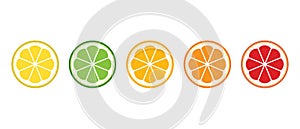 Fresh citrus fruit vector icons set. Citrus slices set: lemon, orange, lime, grapefruit and mandarin