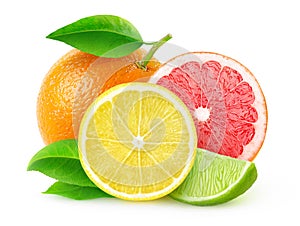 Fresh citrus fruits