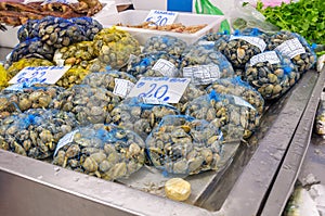 Fresh clams at the fish market