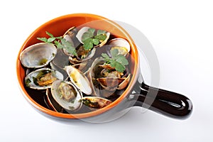 Fresh clams in the pot