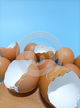 Fresh and clean egg shells isolated blue background