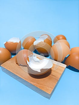 Fresh and clean egg shells isolated blue background