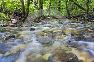Fresh and clean stream in tropical rainforest.
