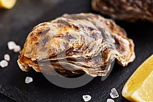 Fresh closed oysters with lemon on slate plate