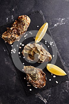 Fresh closed oysters with lemon on slate plate