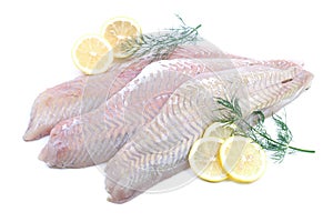 Fresh coalfish