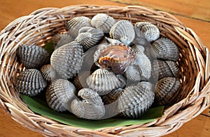 Fresh cockles casually placed on a wicker basket