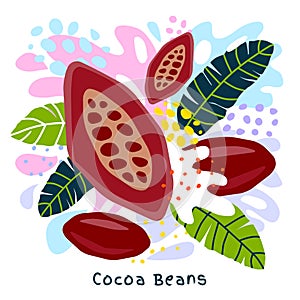Fresh cocoa beans juice splash organic food condiment spice splatter. Spicy herbs nuts.