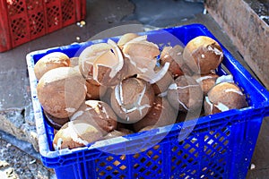 Fresh coconut in blue basket for coconut flakes on street market. Tropical fruit.