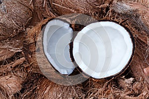 Fresh coconut on brown shell.