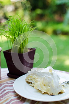 Fresh coconut cake with cream