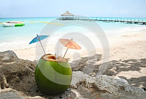 Fresh Coconut Cocktail Drink on a Caribbean Beach photo
