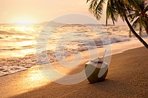 Fresh coconut cocktails on sandy tropical beach at sunset time