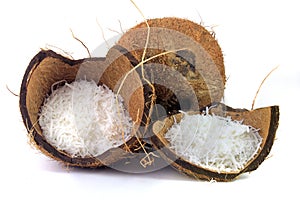 Fresh coconut flakes placed in bark and shell isolated on white background