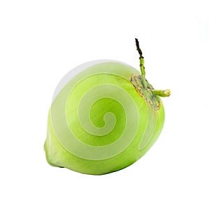 fresh Coconut isolate on white