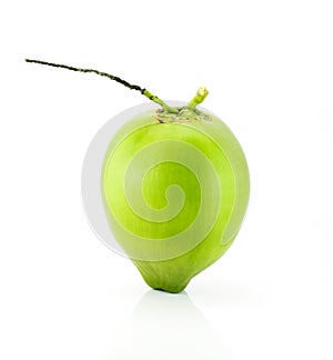 fresh Coconut isolate on white