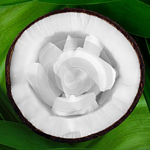 Fresh coconut - opened with coconut chips