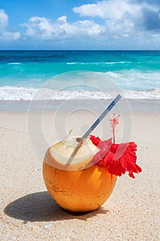 Fresh coconut with tropical juice on white sand in tropical beach.