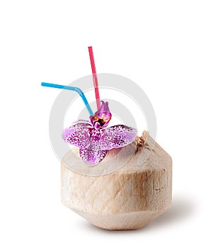 Fresh coconut water drink with orchid flower