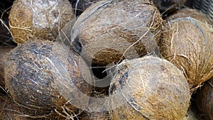 Fresh coconuts close-up on the market. background