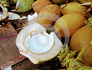 Fresh coconuts with cream at Havelock Island Andman Nicobar