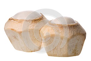 Fresh Coconuts Isolated